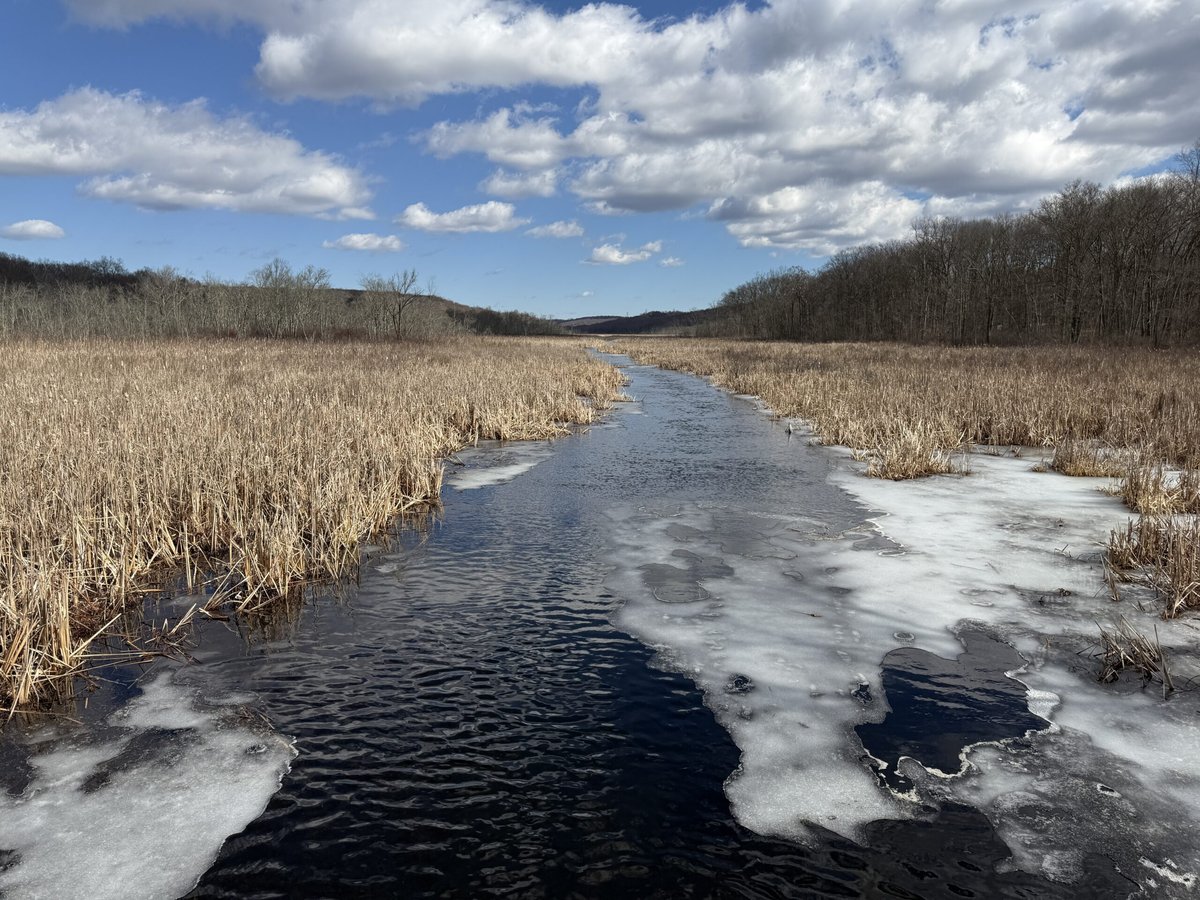 Lamington, NJ - NJDEP| Fish & Wildlife | WMA of the Month - Black River
